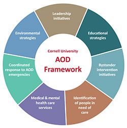 Cornell's Alcohol & Other Drug Framework