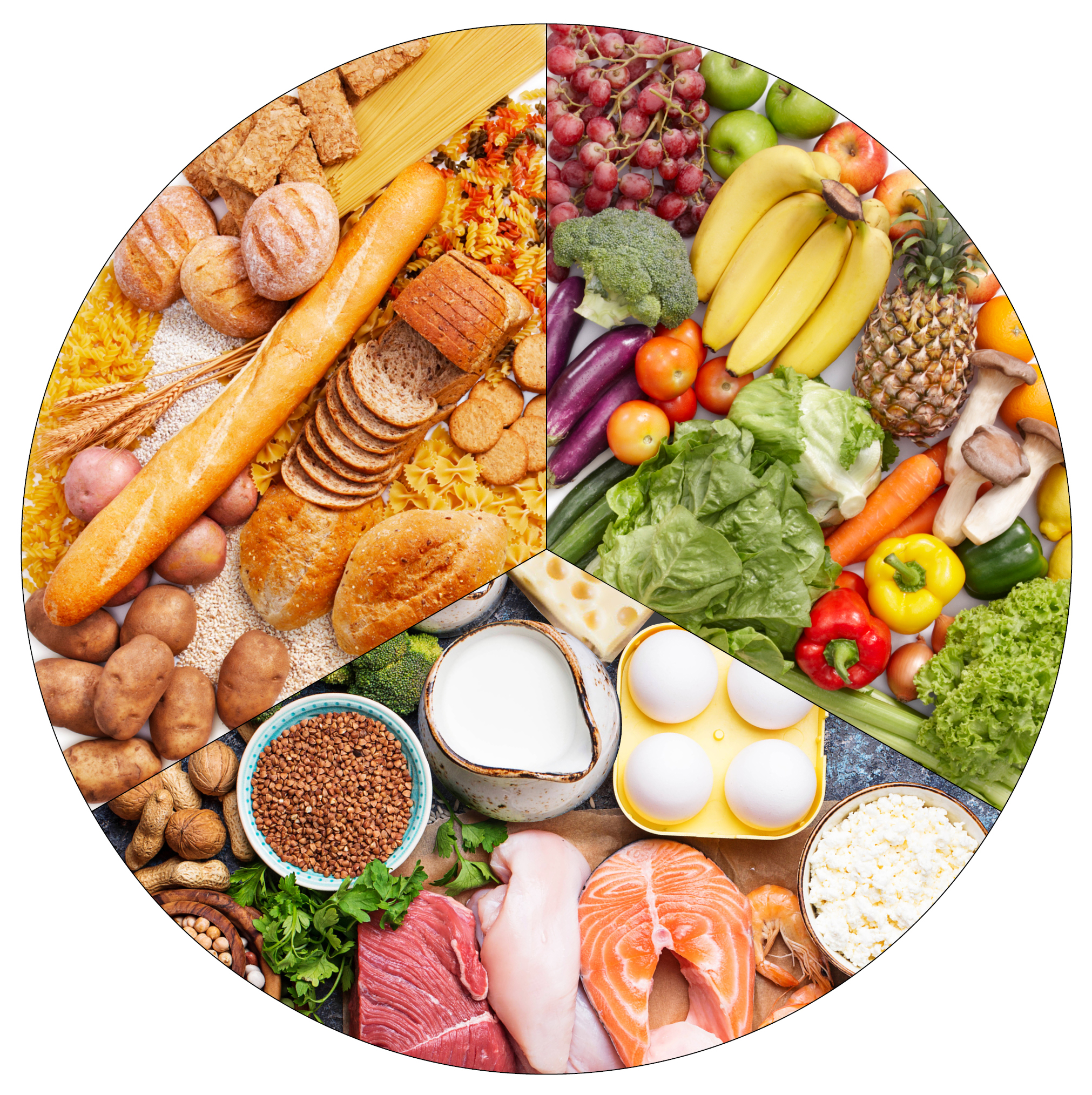 Pie chart showing proteins, grains, and fruits and vegetables