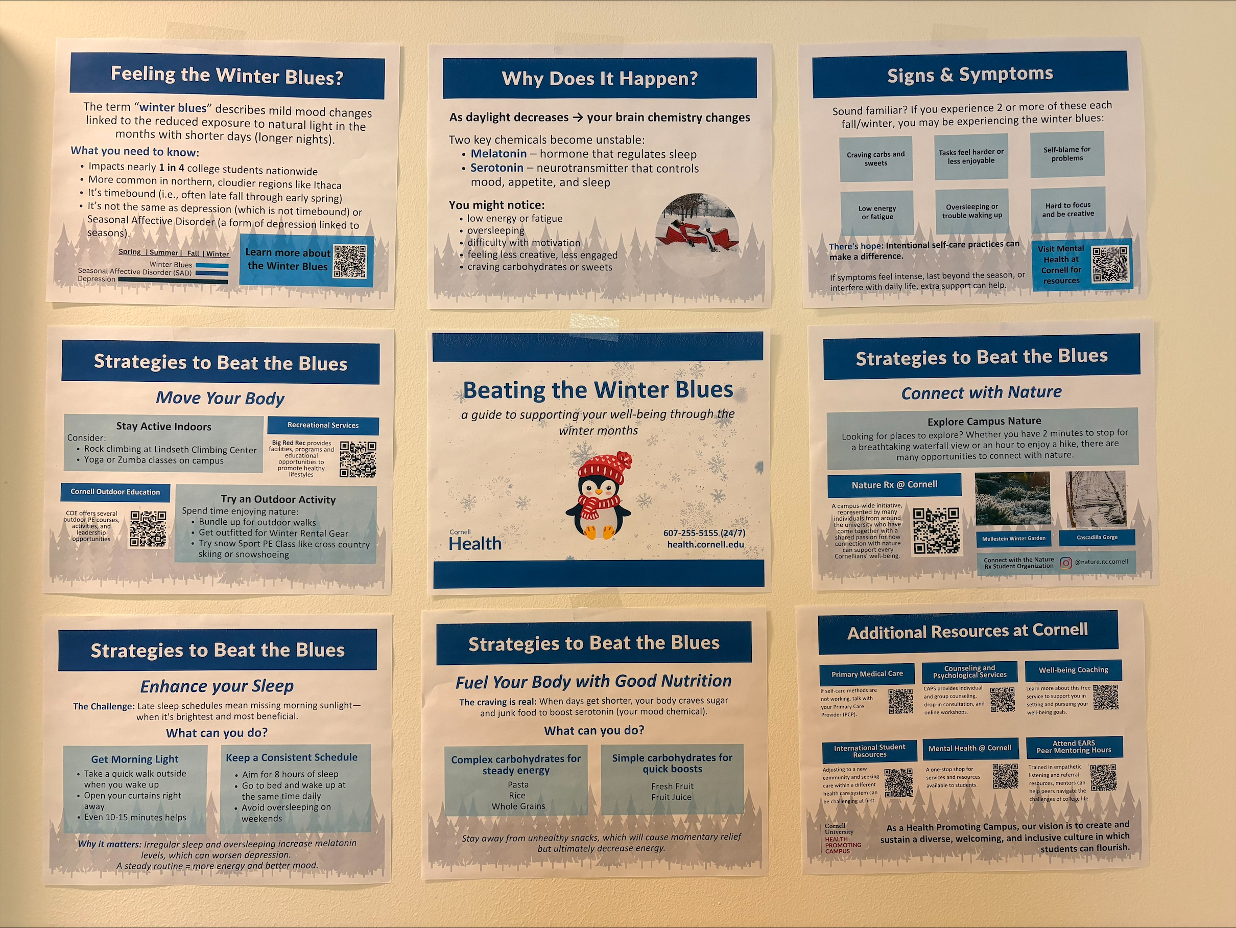 mock-up of Beating Winter Blues bulletin baord